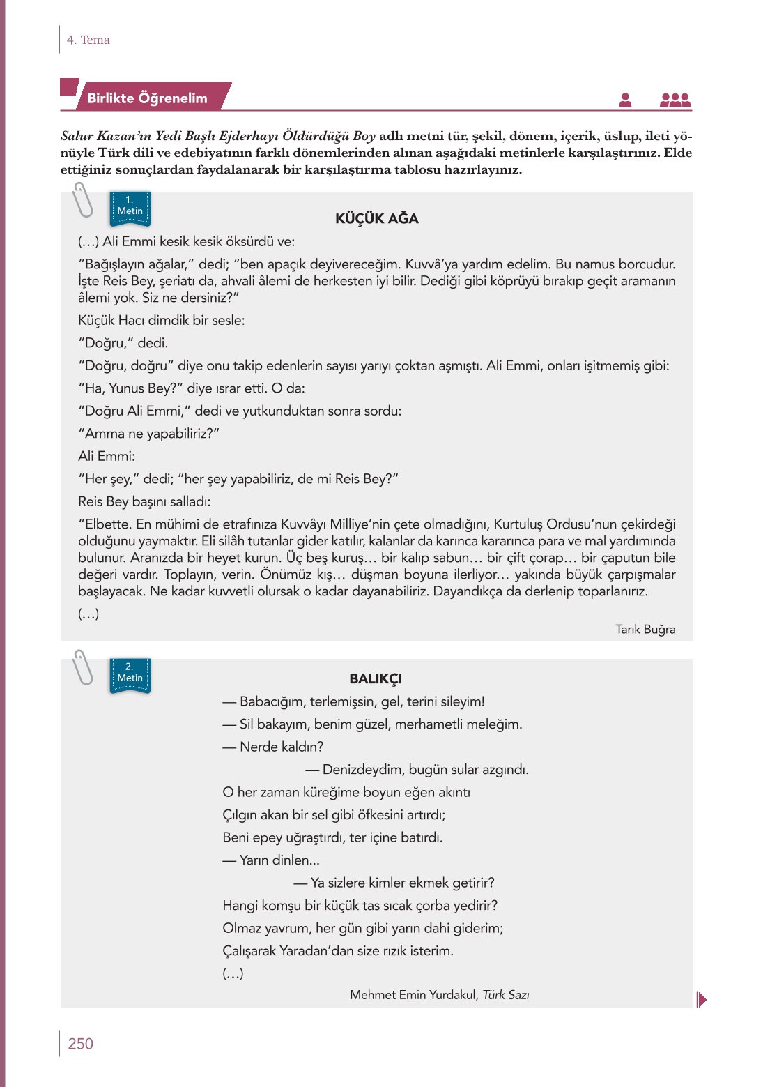 10. Sınıf Meb Yayınları Türk Dili Ve Edebiyatı Ders Kitabı Sayfa 250 Cevapları