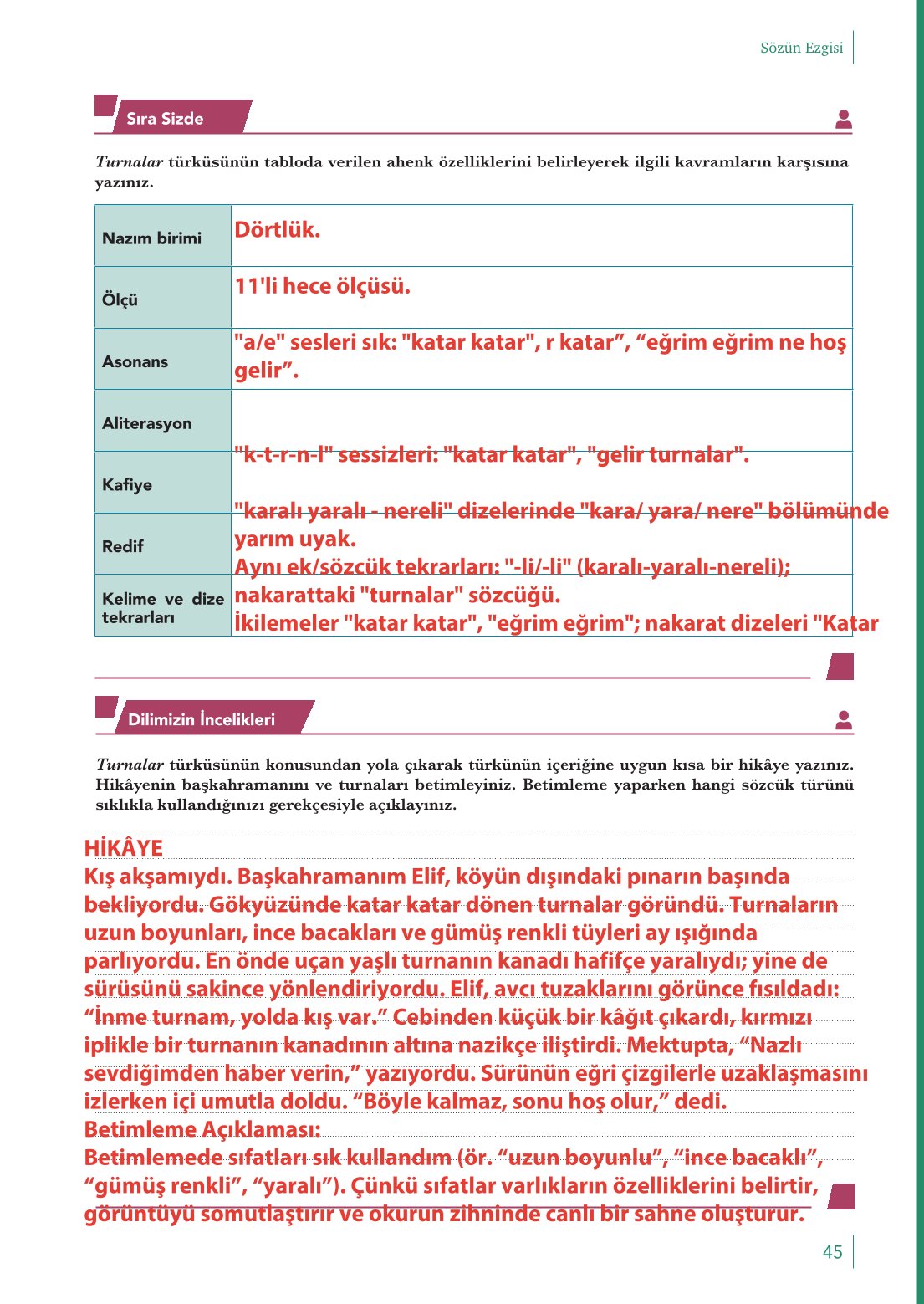 10. Sınıf Meb Yayınları Türk Dili Ve Edebiyatı Ders Kitabı Sayfa 45 Cevapları