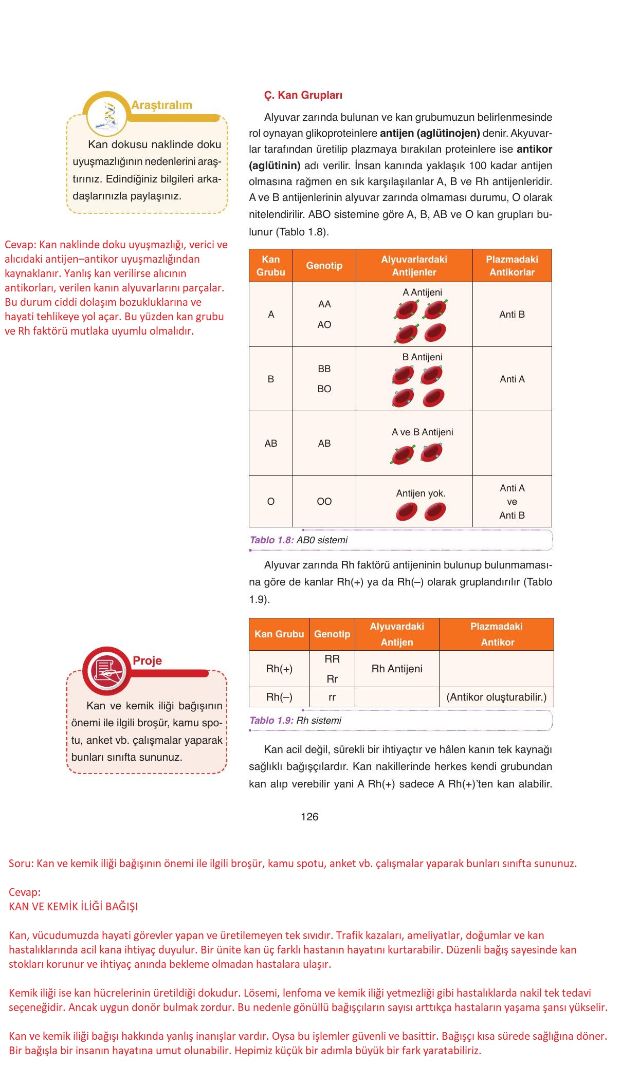 11. Sınıf Tutku Yayıncılık Biyoloji Ders Kitabı Sayfa 126 Cevapları