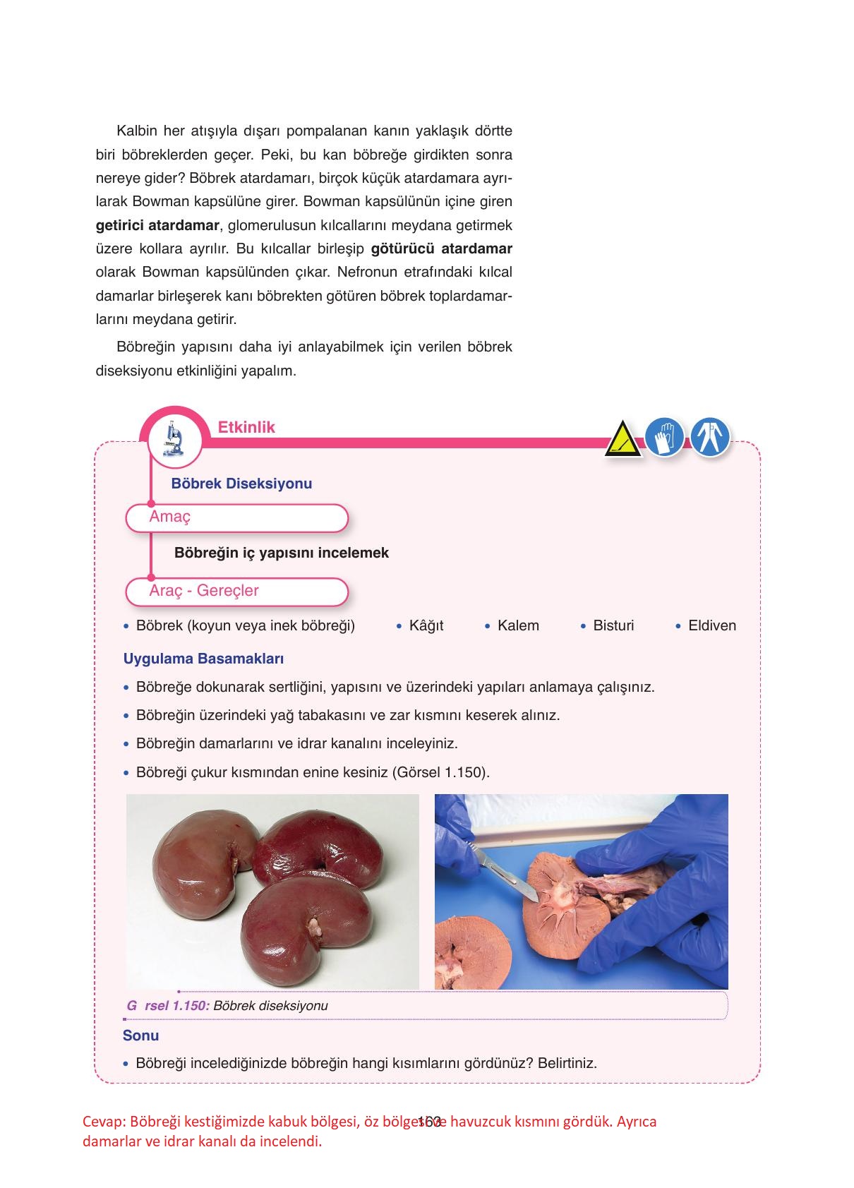 11. Sınıf Tutku Yayıncılık Biyoloji Ders Kitabı Sayfa 163 Cevapları 11. Sınıf Tutku Yayıncılık Biyoloji Ders Kitabı Sayfa 163 Cevapları