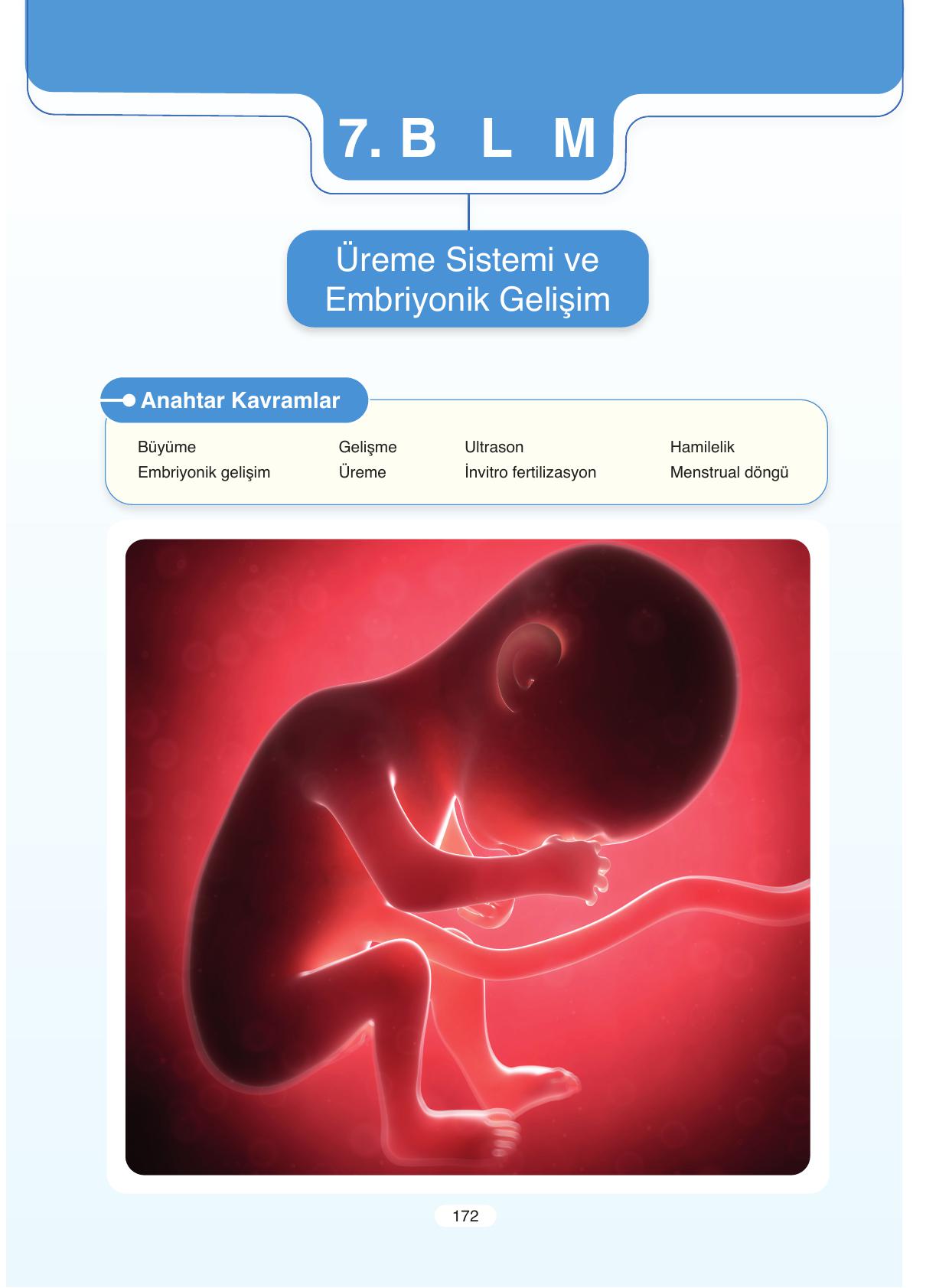 11. Sınıf Tutku Yayıncılık Biyoloji Ders Kitabı Sayfa 172 Cevapları 11. Sınıf Tutku Yayıncılık Biyoloji Ders Kitabı Sayfa 172 Cevapları