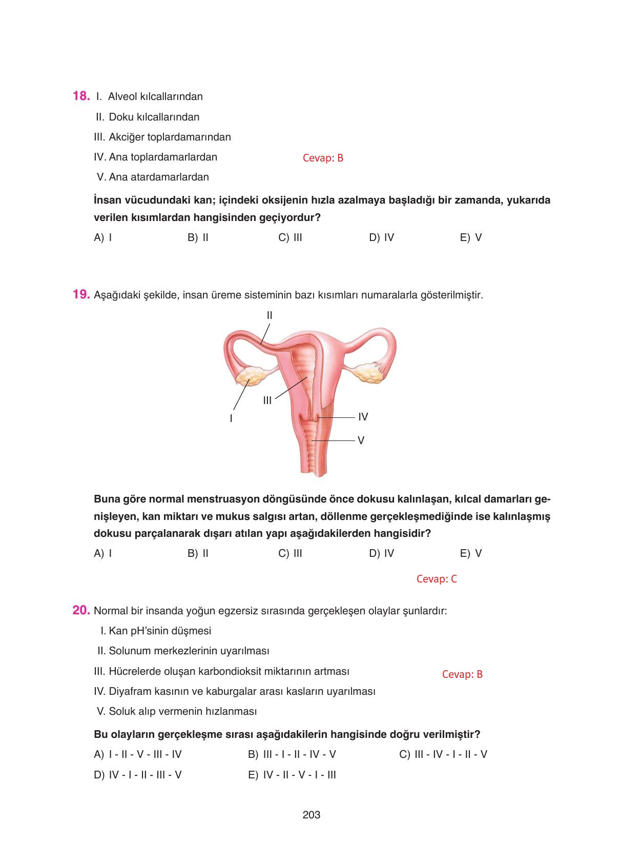 11. Sınıf Tutku Yayıncılık Biyoloji Ders Kitabı Sayfa 203 Cevapları
