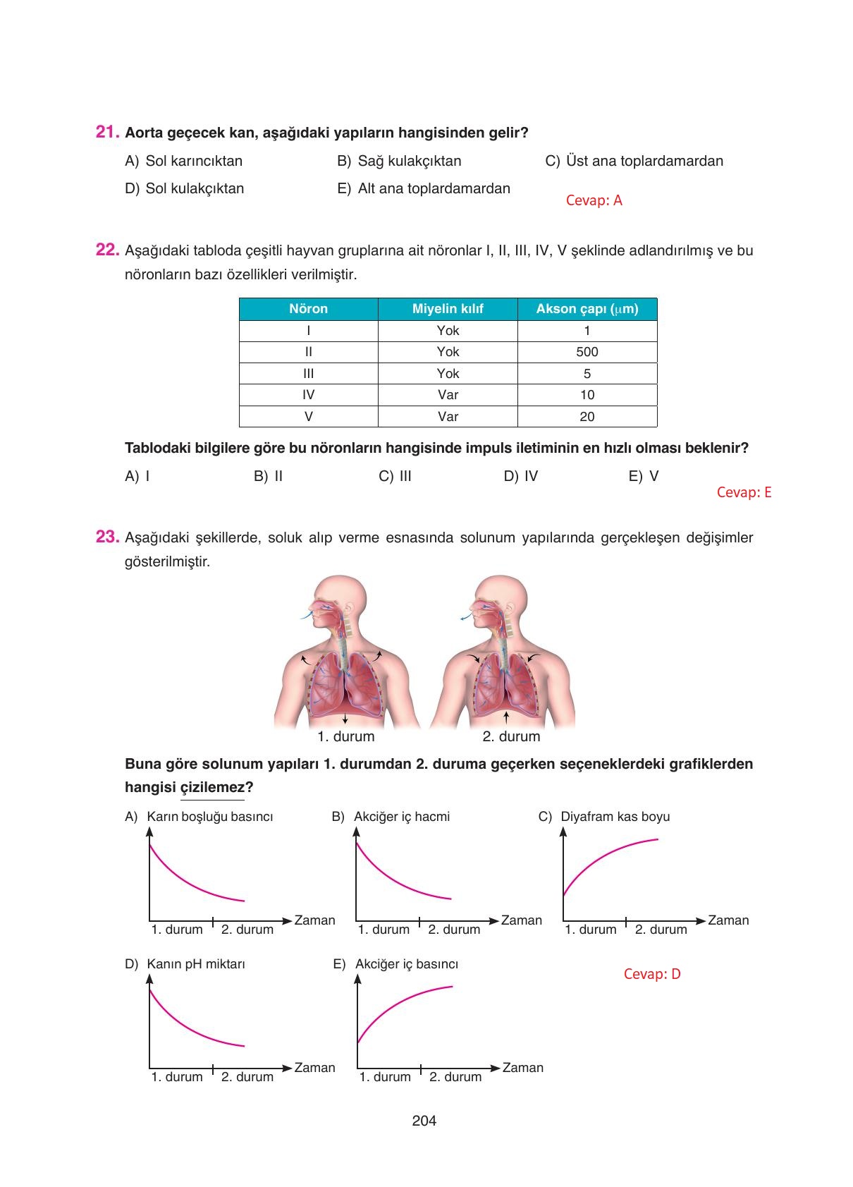 11. Sınıf Tutku Yayıncılık Biyoloji Ders Kitabı Sayfa 204 Cevapları