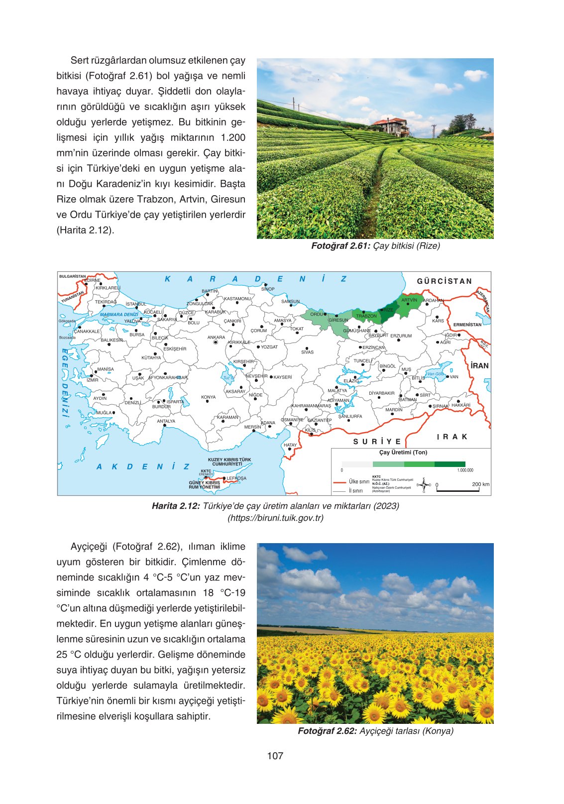 11. Sınıf Yıldırım Yayınları Coğrafya Ders Kitabı Sayfa 107 Cevapları
