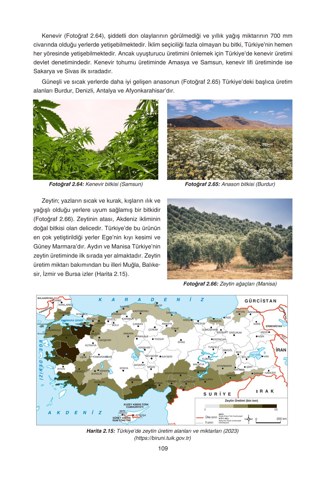 11. Sınıf Yıldırım Yayınları Coğrafya Ders Kitabı Sayfa 109 Cevapları