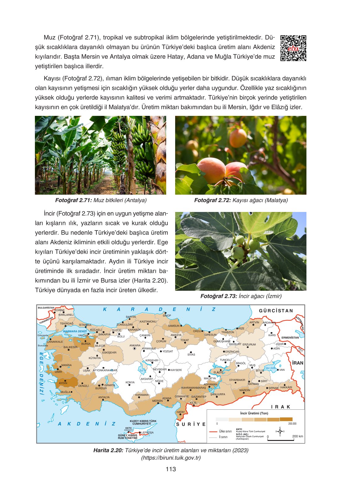 11. Sınıf Yıldırım Yayınları Coğrafya Ders Kitabı Sayfa 113 Cevapları