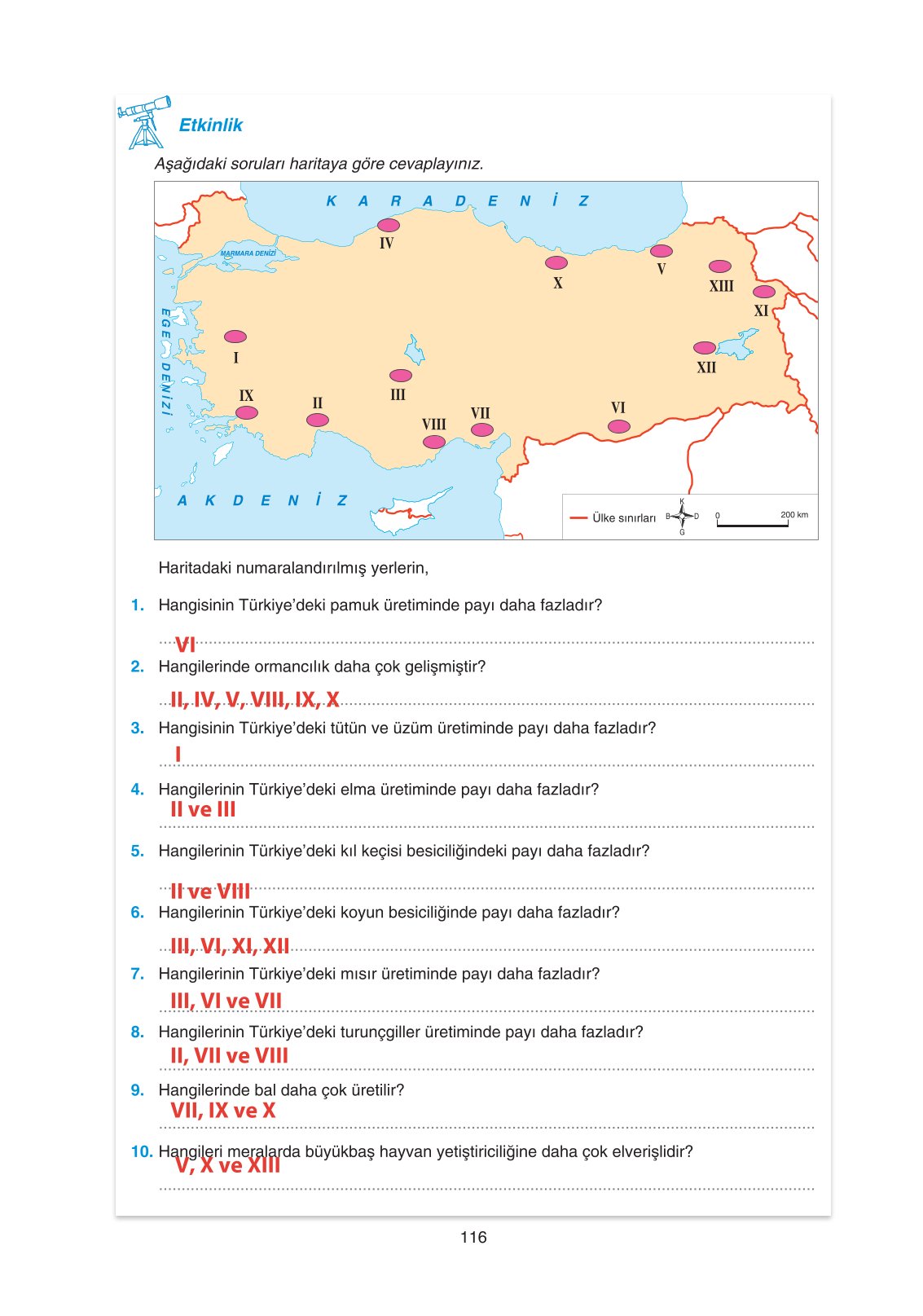 11. Sınıf Yıldırım Yayınları Coğrafya Ders Kitabı Sayfa 116 Cevapları