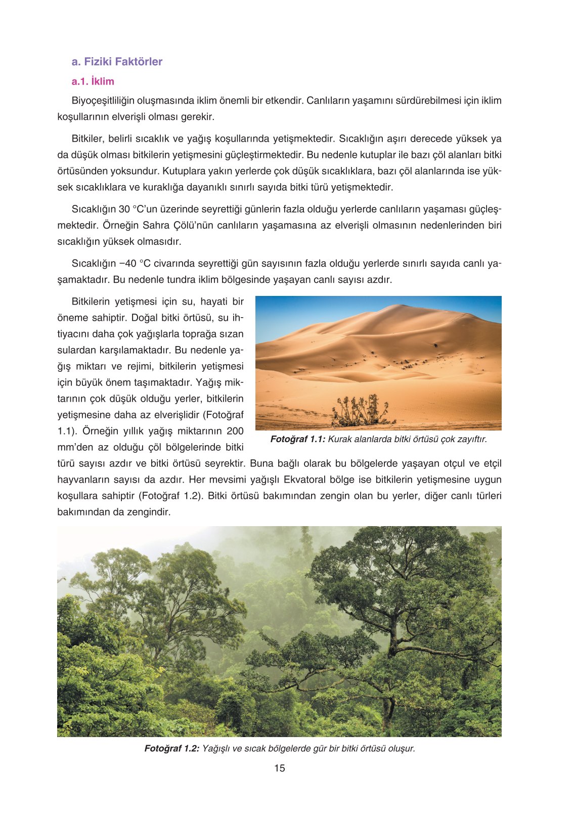 11. Sınıf Yıldırım Yayınları Coğrafya Ders Kitabı Sayfa 15 Cevapları