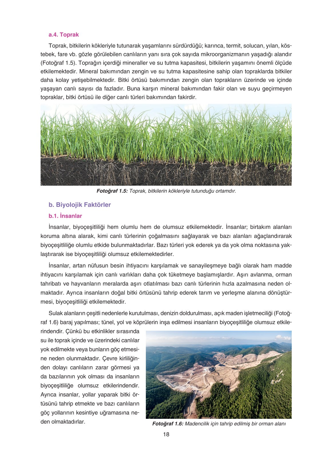 11. Sınıf Yıldırım Yayınları Coğrafya Ders Kitabı Sayfa 18 Cevapları