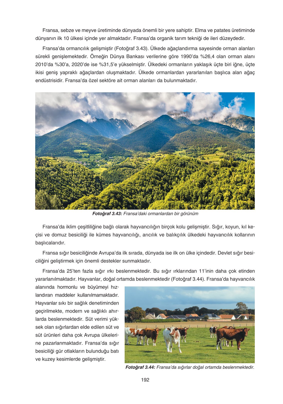 11. Sınıf Yıldırım Yayınları Coğrafya Ders Kitabı Sayfa 192 Cevapları