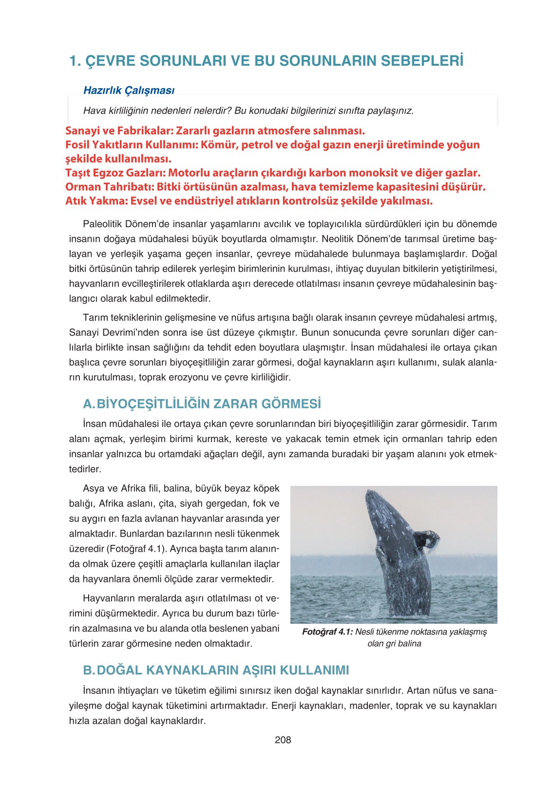 11. Sınıf Yıldırım Yayınları Coğrafya Ders Kitabı Sayfa 208 Cevapları