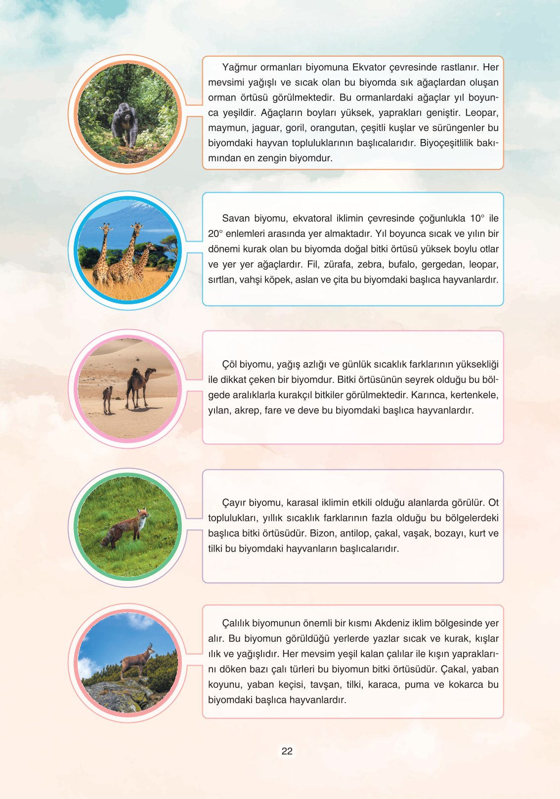 11. Sınıf Yıldırım Yayınları Coğrafya Ders Kitabı Sayfa 22 Cevapları