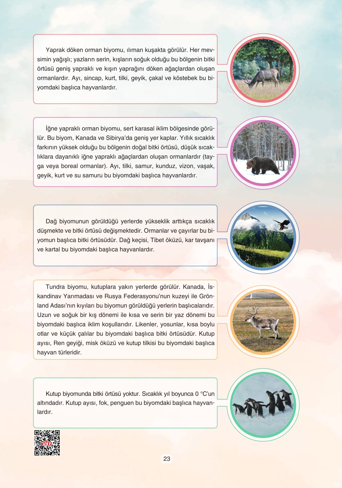 11. Sınıf Yıldırım Yayınları Coğrafya Ders Kitabı Sayfa 23 Cevapları