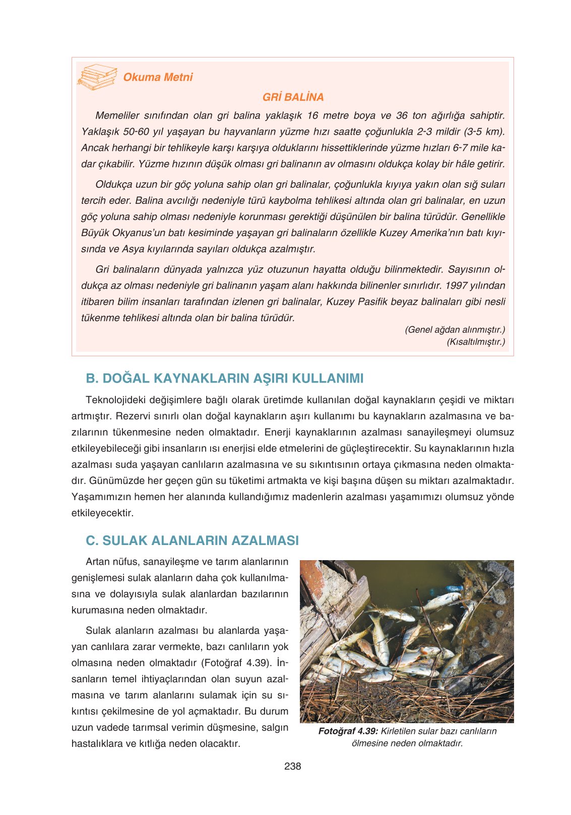 11. Sınıf Yıldırım Yayınları Coğrafya Ders Kitabı Sayfa 238 Cevapları