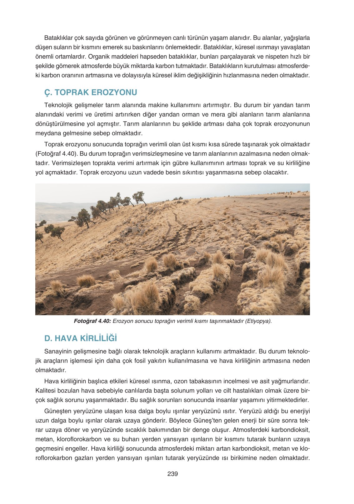 11. Sınıf Yıldırım Yayınları Coğrafya Ders Kitabı Sayfa 239 Cevapları