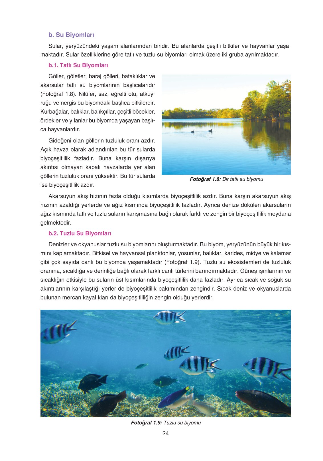 11. Sınıf Yıldırım Yayınları Coğrafya Ders Kitabı Sayfa 24 Cevapları