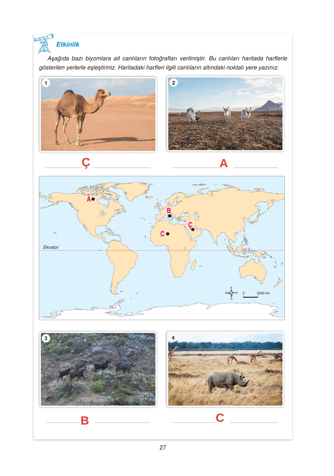 11. Sınıf Yıldırım Yayınları Coğrafya Ders Kitabı Sayfa 27 Cevapları