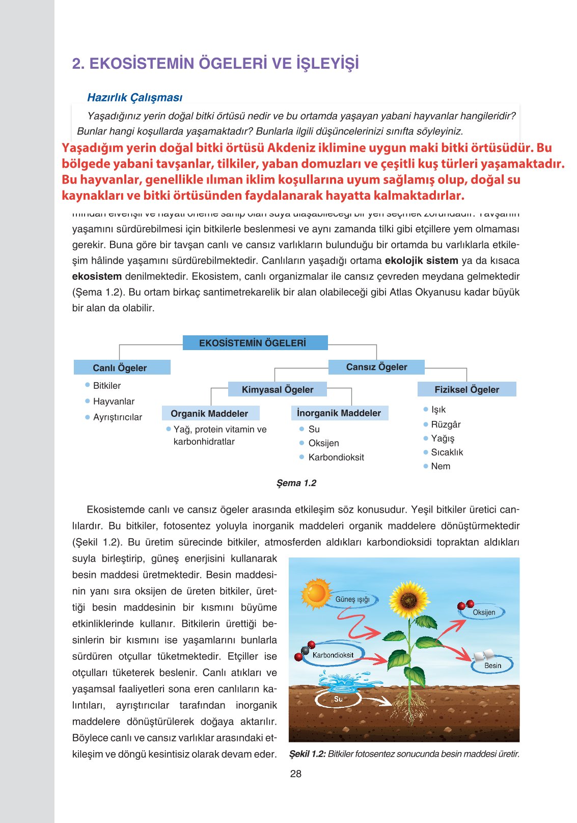 11. Sınıf Yıldırım Yayınları Coğrafya Ders Kitabı Sayfa 28 Cevapları