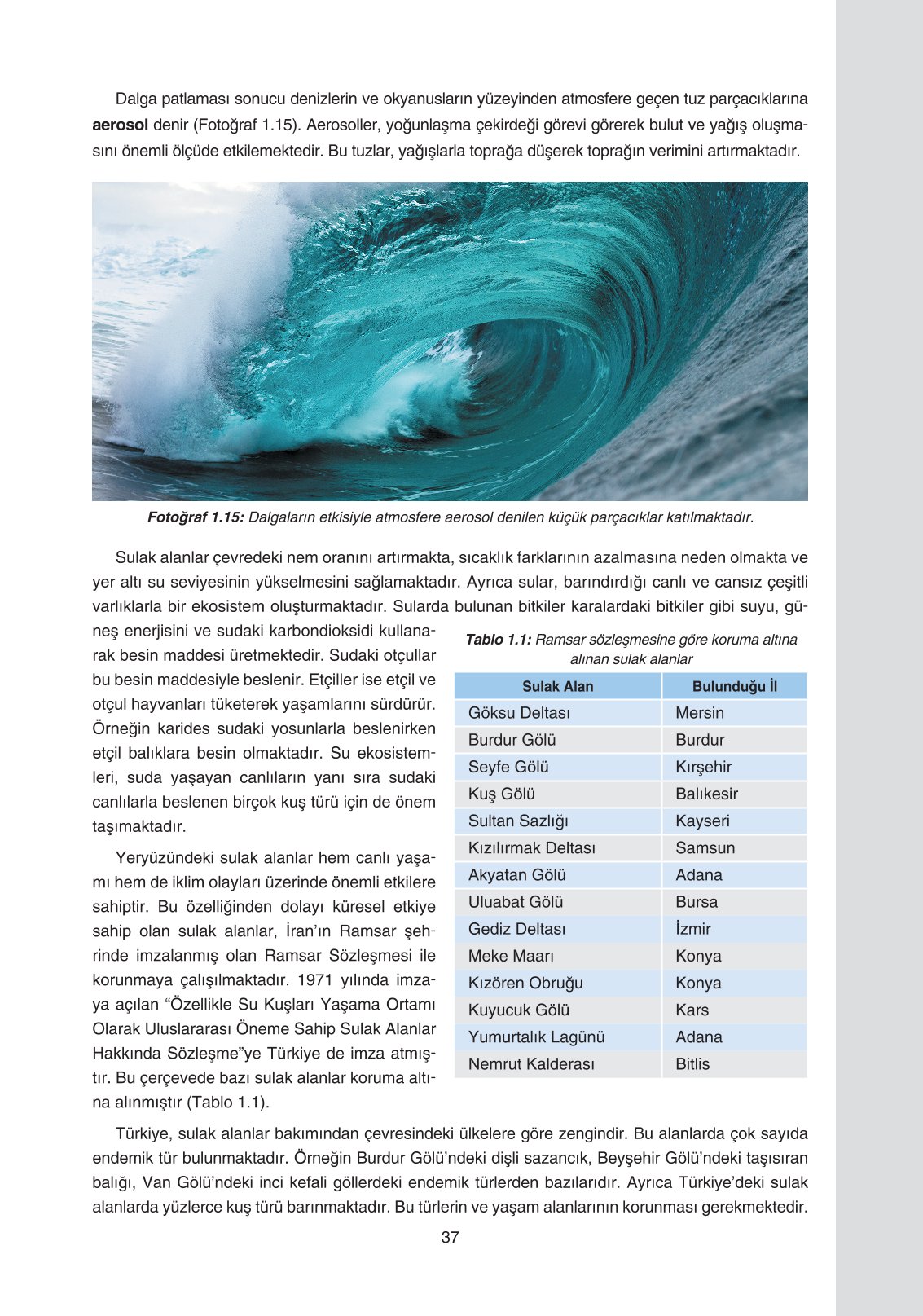 11. Sınıf Yıldırım Yayınları Coğrafya Ders Kitabı Sayfa 37 Cevapları