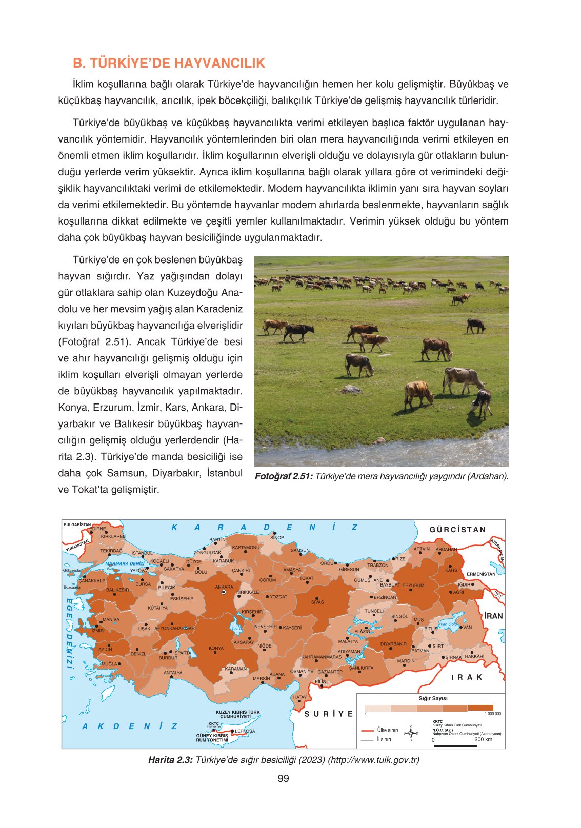 11. Sınıf Yıldırım Yayınları Coğrafya Ders Kitabı Sayfa 99 Cevapları