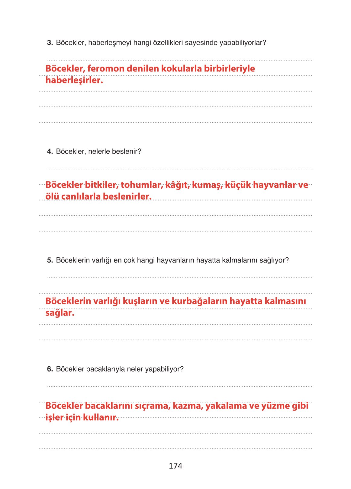 4. Sınıf Ada Yayıncılık Türkçe Ders Kitabı Sayfa 174 Cevapları