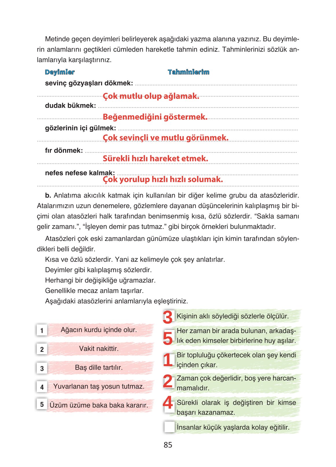 4. Sınıf Ada Yayıncılık Türkçe Ders Kitabı Sayfa 85 Cevapları