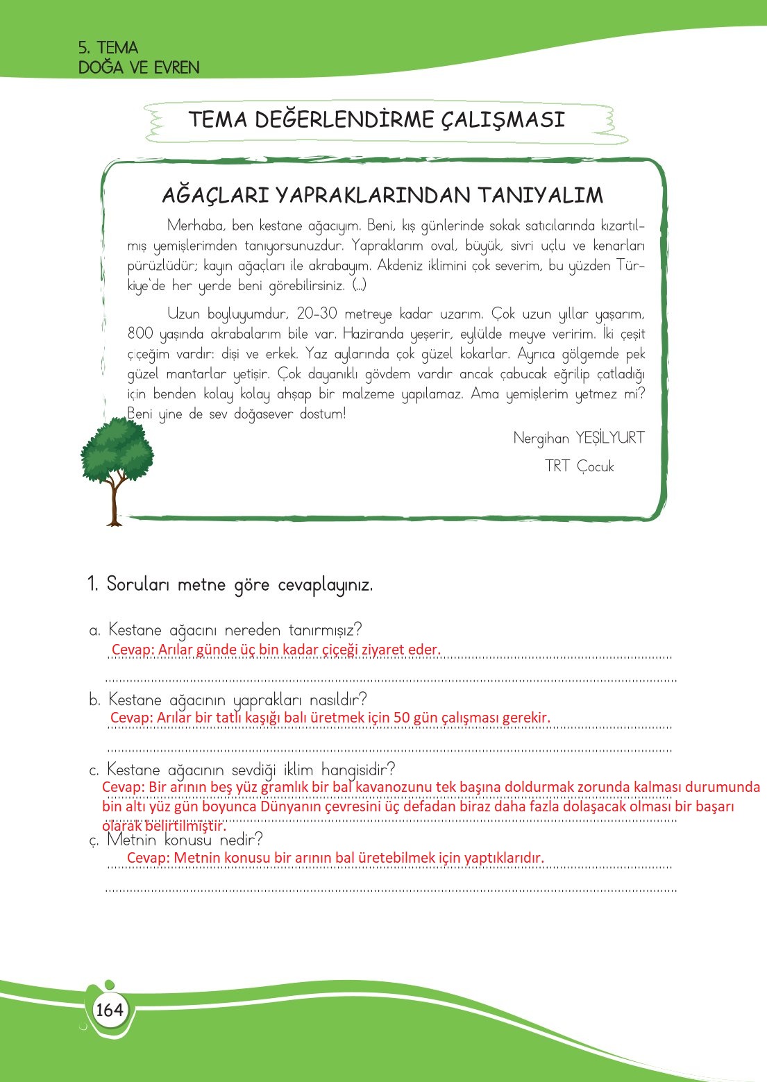 4. Sınıf Meb Yayınları Türkçe Ders Kitabı Sayfa 0164 Cevapları